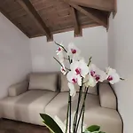 Palorto 4* Gjirokaster