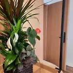Hotel Palorto 4*