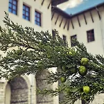 Palorto Hotel Gjirokaster
