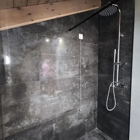 Palorto Gjirokastër