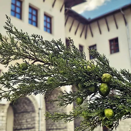 Palorto Hotel Gjirokastër