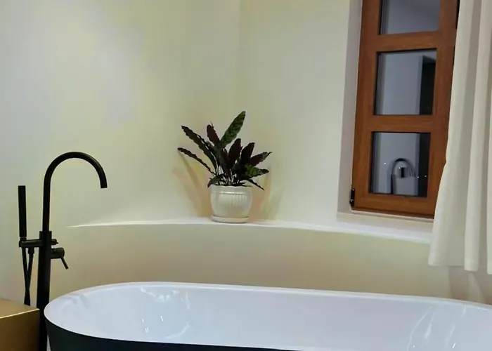 Palorto Gjirokastër