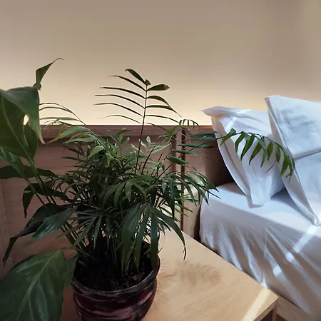 Hotel Palorto 4*