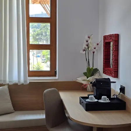 Palorto 4* Gjirokastër